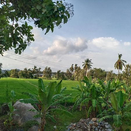 Gopi Plantation Homestay Hampi Eksteriør bilde