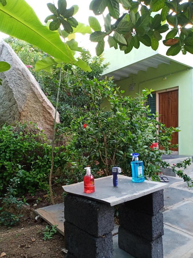Gopi Plantation Homestay Hampi Eksteriør bilde