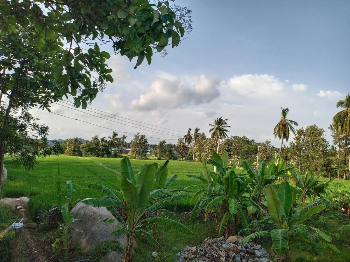 Gopi Plantation Homestay Hampi Eksteriør bilde