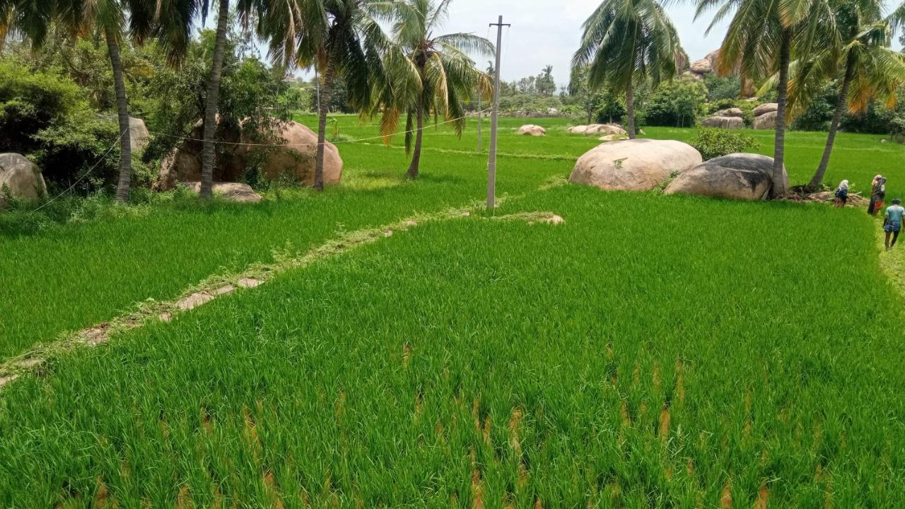 Gopi Plantation Homestay Hampi Eksteriør bilde