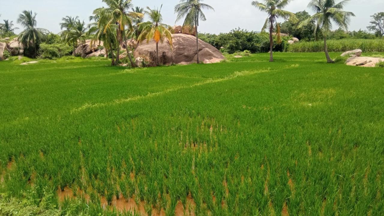 Gopi Plantation Homestay Hampi Eksteriør bilde
