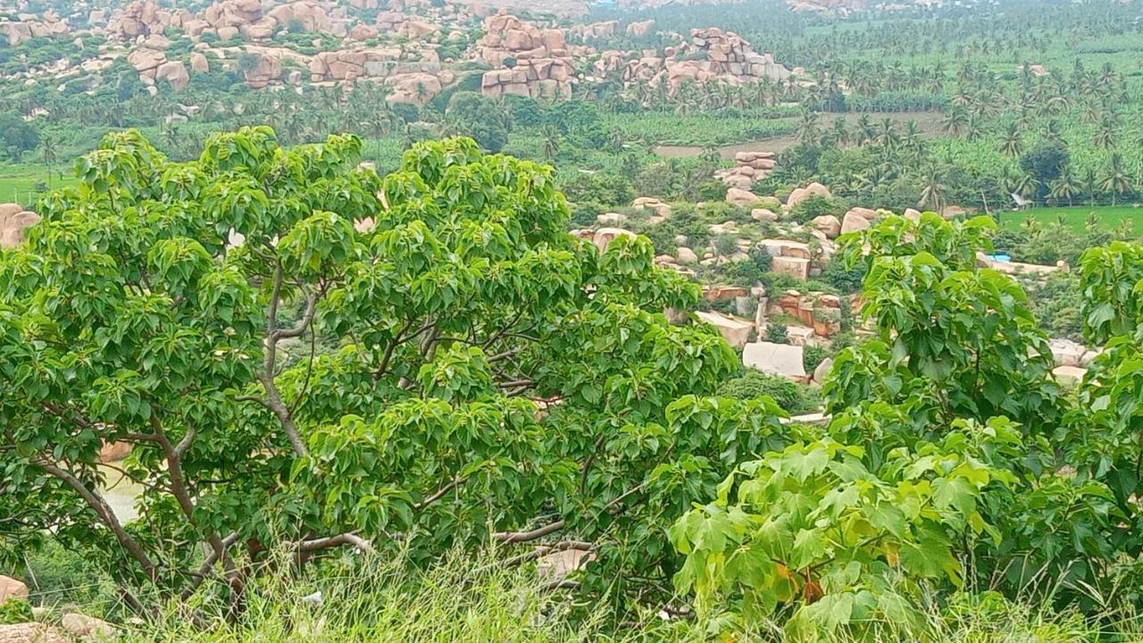 Gopi Plantation Homestay Hampi Eksteriør bilde