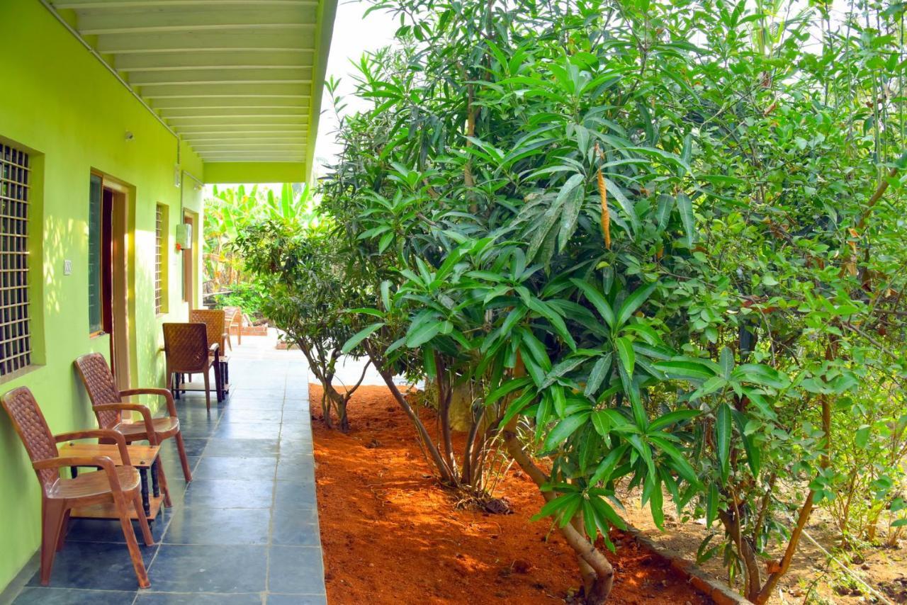 Gopi Plantation Homestay Hampi Eksteriør bilde