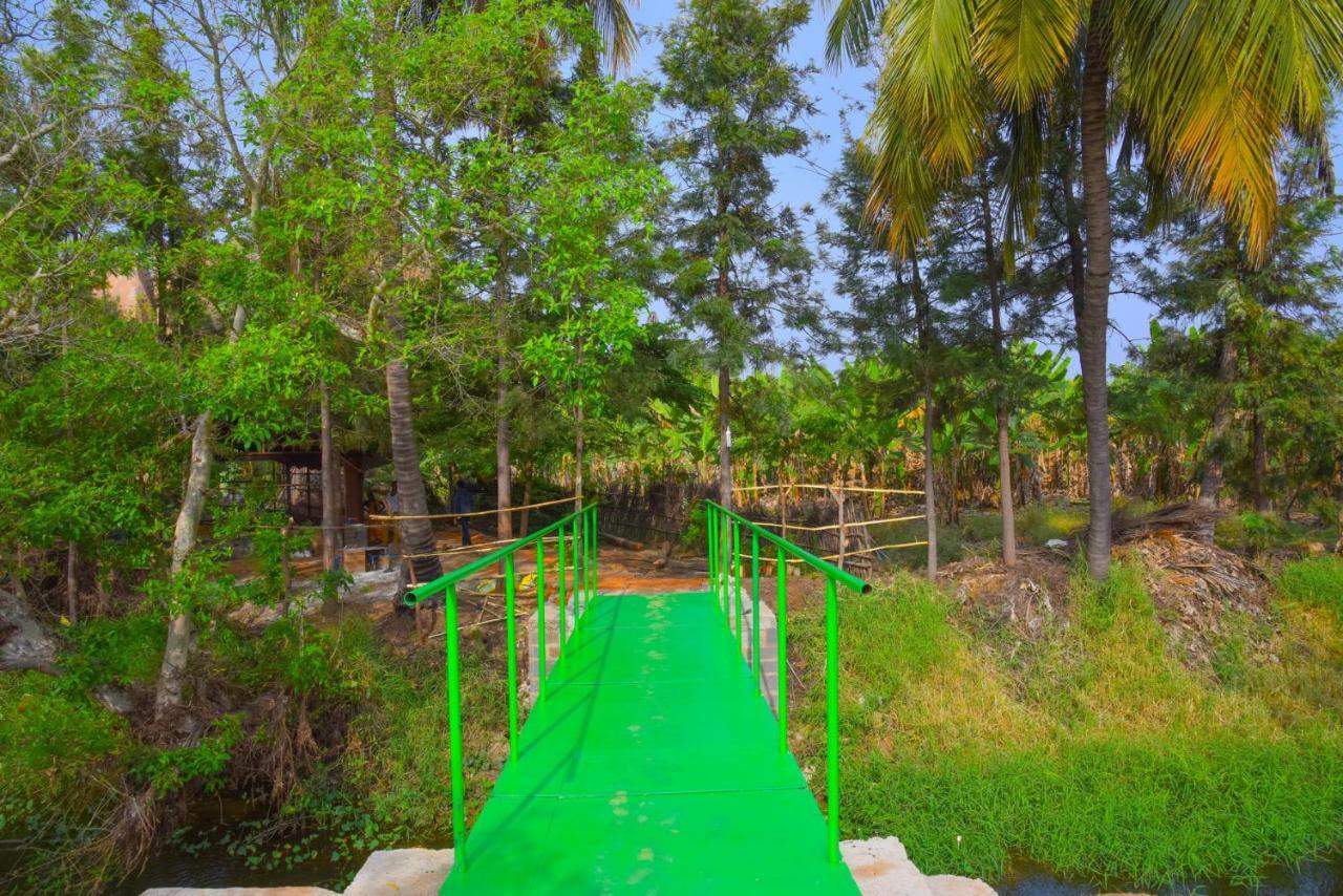 Gopi Plantation Homestay Hampi Eksteriør bilde
